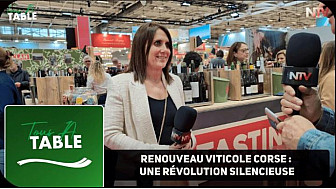 TV Locale Paris - Le vignoble corse connaît une révolution qualitative depuis deux décennies